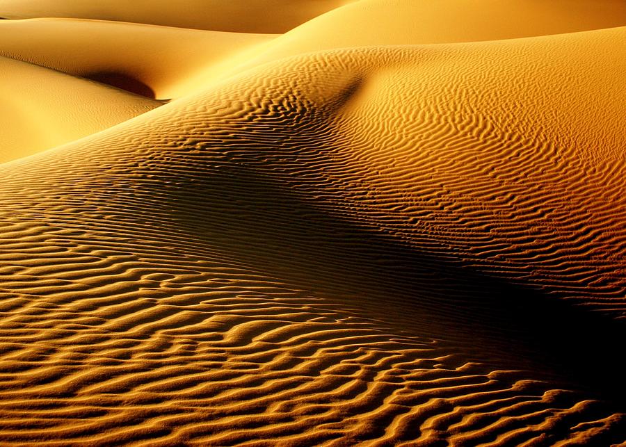 Shimmering Sahara, Libya Photograph by Joe & Clair Carnegie / Libyan Soup