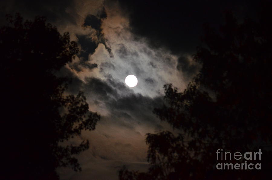 Shine On Harvest Moon Photograph by Maria Urso