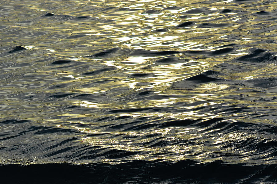 Shining Sea Photograph by Tana Reiff