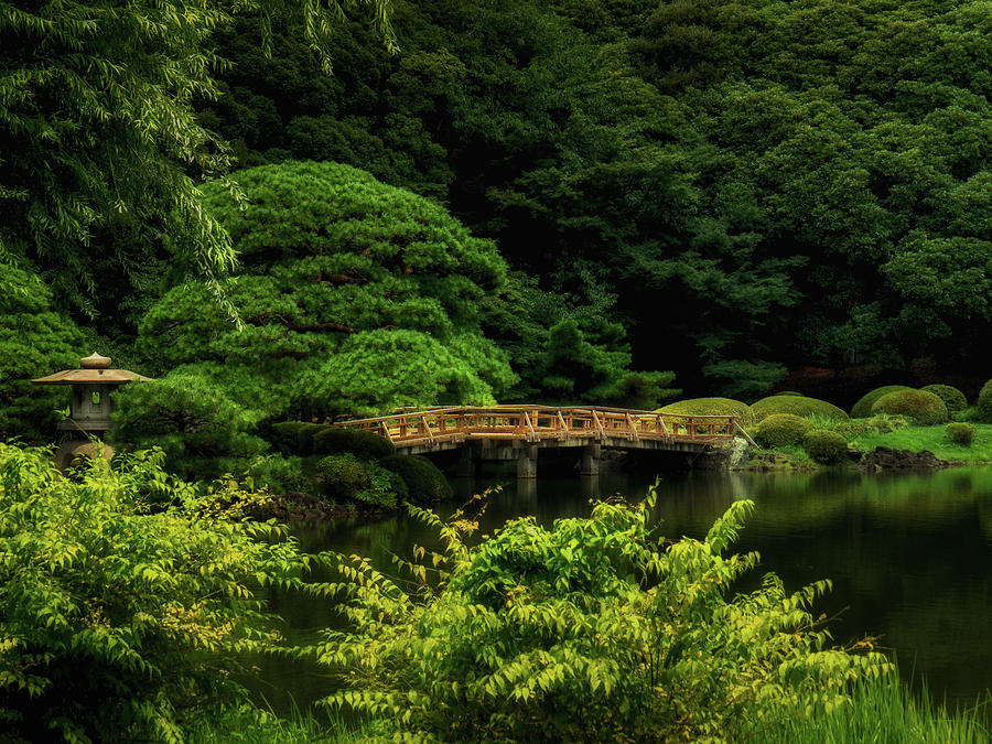 Shinjuku Gyoen National Garden Bridge - Tokyo Photograph by Jeffrey ...