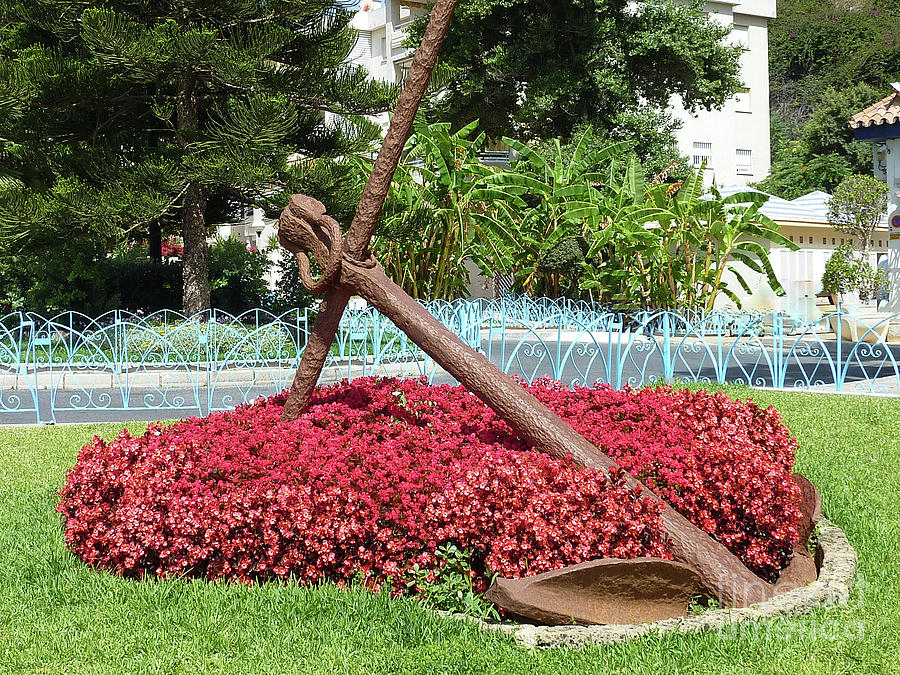 Ship Anchor in a bed of red flowers Photograph by Pics By Tony