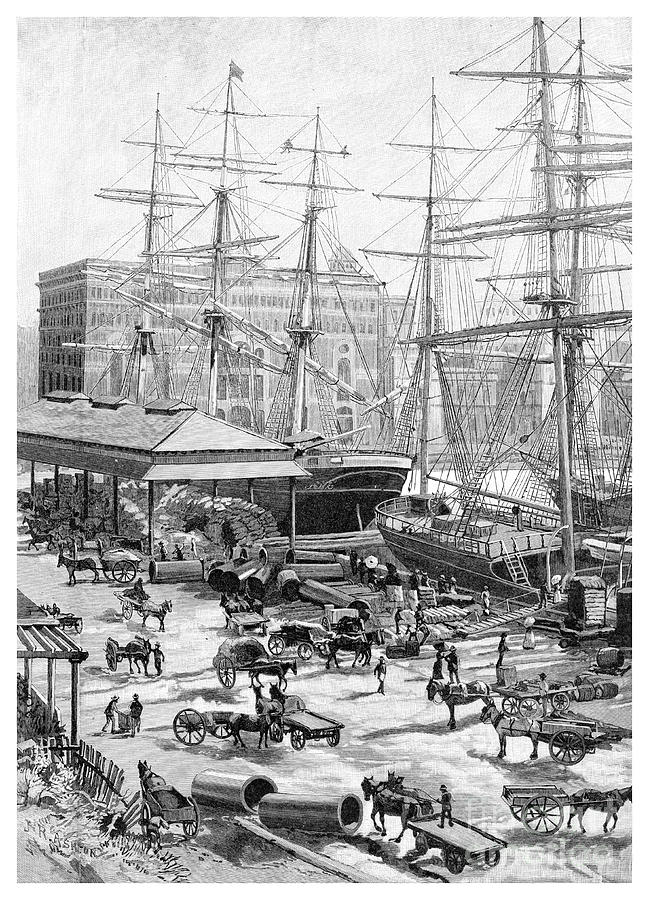 Shipping, Circular Quay, Sydney, New Drawing by Print Collector