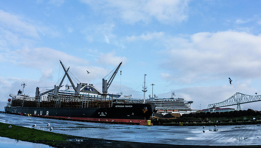 Ships at Dock Photograph by Peggy McCormick