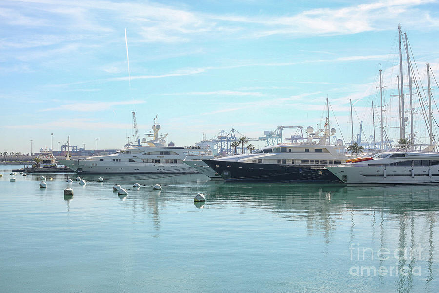 Boat Photograph - Ships in the Marina by Patricia Hofmeester