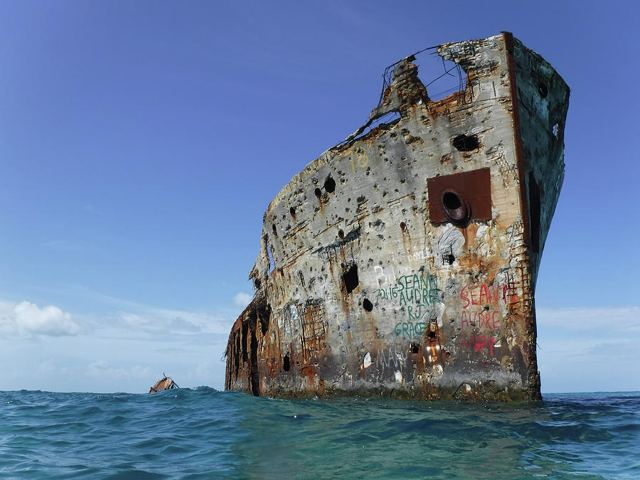 Shipwreck of the Cement Boat Sapona Photograph by Dan Podsobinski