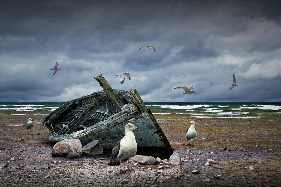 Transportation Photograph - Shipwrecked Wooden Boat on a Beach with Gulls by Randall Nyhof