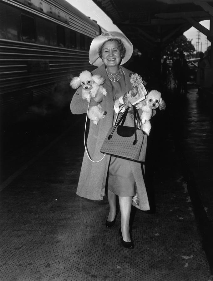 Shirley Booth Photograph by Bert Morgan