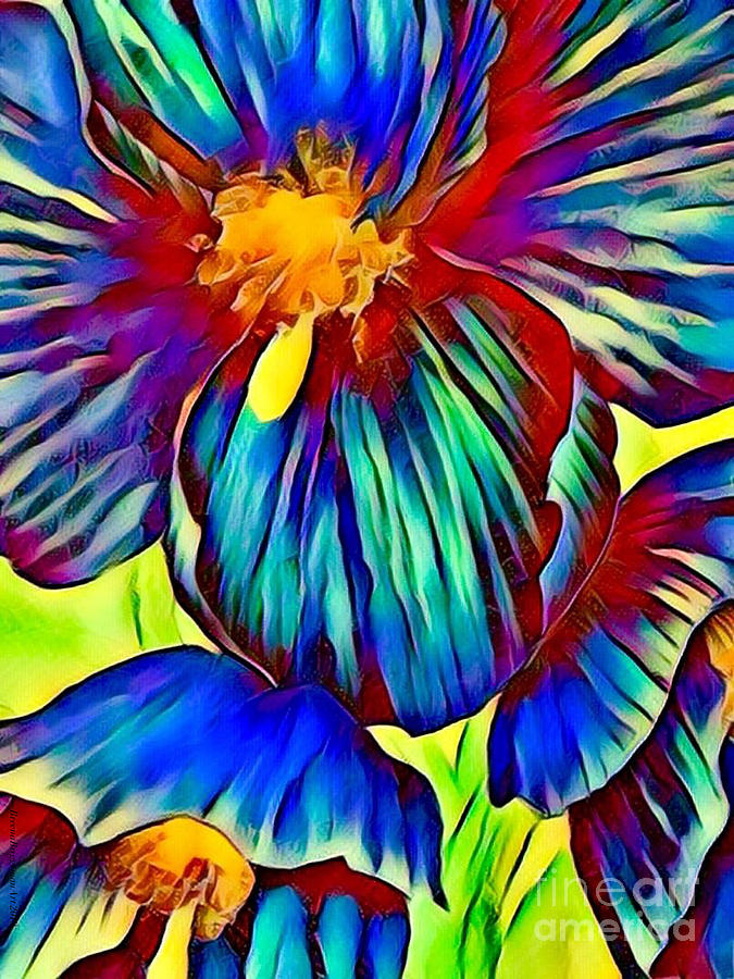 Shirleys Blue Poppies Digital Art by Breena Briggeman - Fine Art America