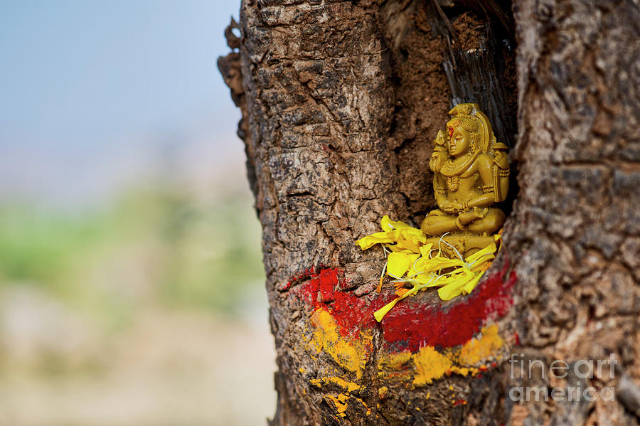 Avatar Photograph - Shiva Shrine by Tim Gainey