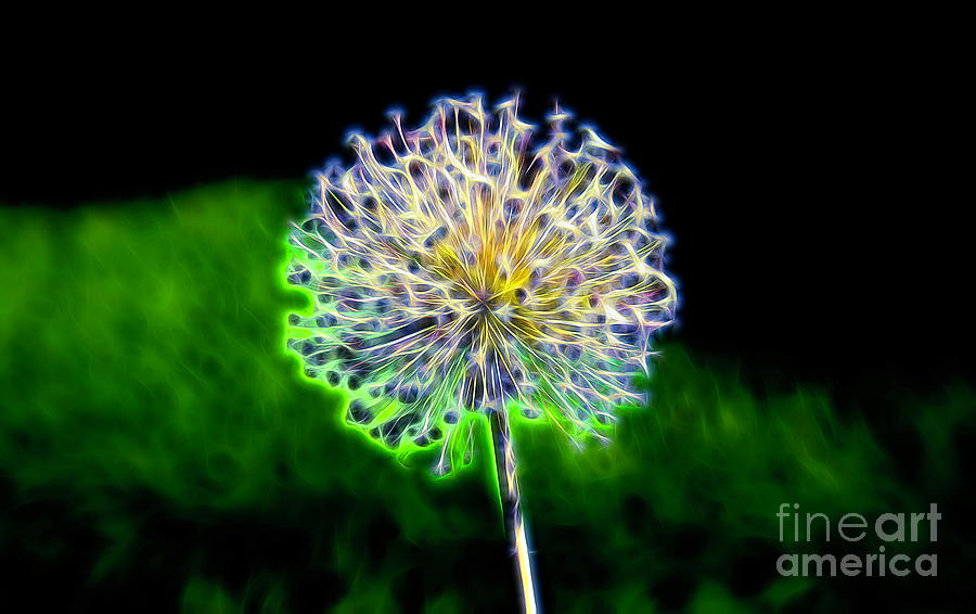 Shocking Green Allium by Karen Silvestri Shocking Green Allium by Karen Silvestri