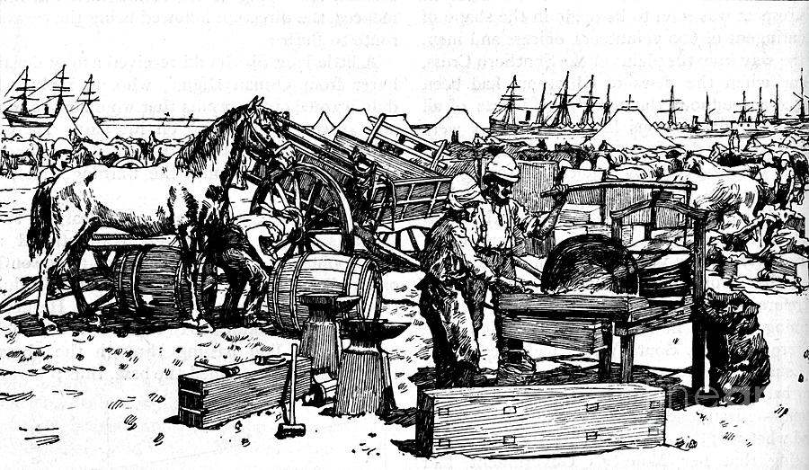 Shoeing Forge Of The New South Wales Drawing by Print Collector