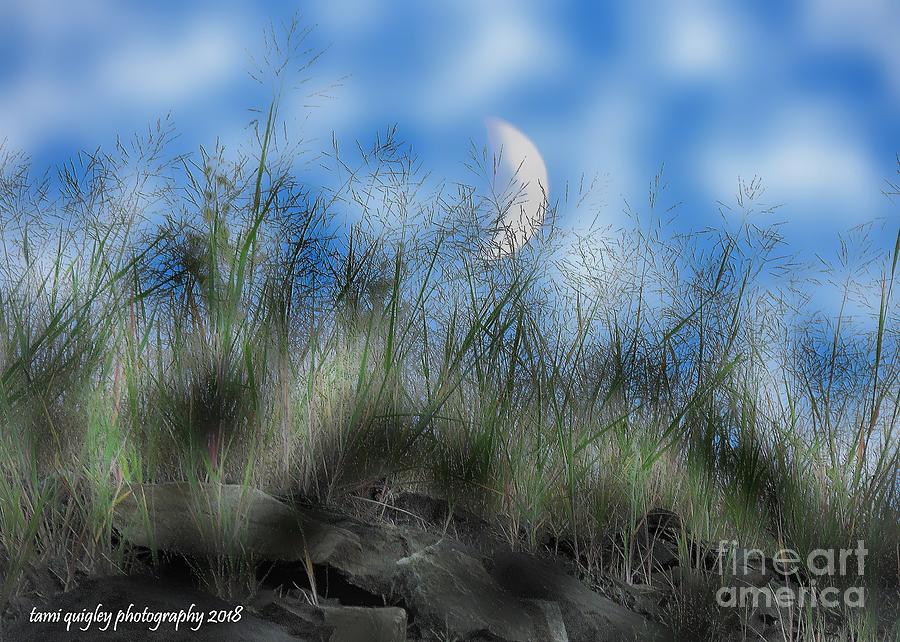 Shoot The Moon Photograph by Tami Quigley
