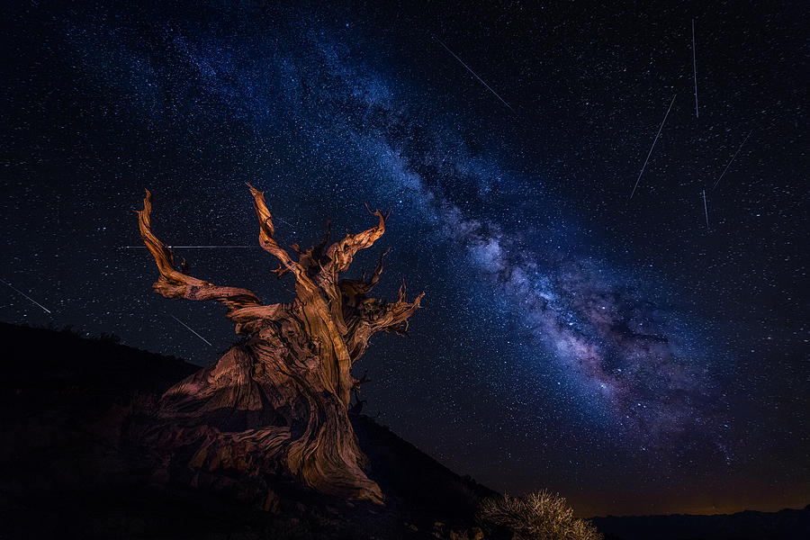 Shooting Stars Night Photograph by Michael Zheng