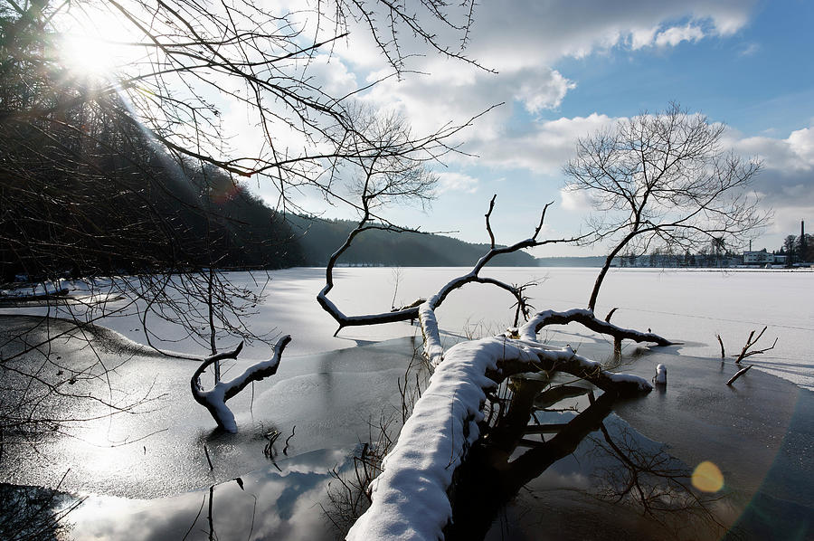 Shore Of Lake Werbellinsee In Winter, Joachimsthal, Schorfheide Biosphere Reserve, Uckermark, Brandenburg, Germany Photograph by Ulf Bttcher