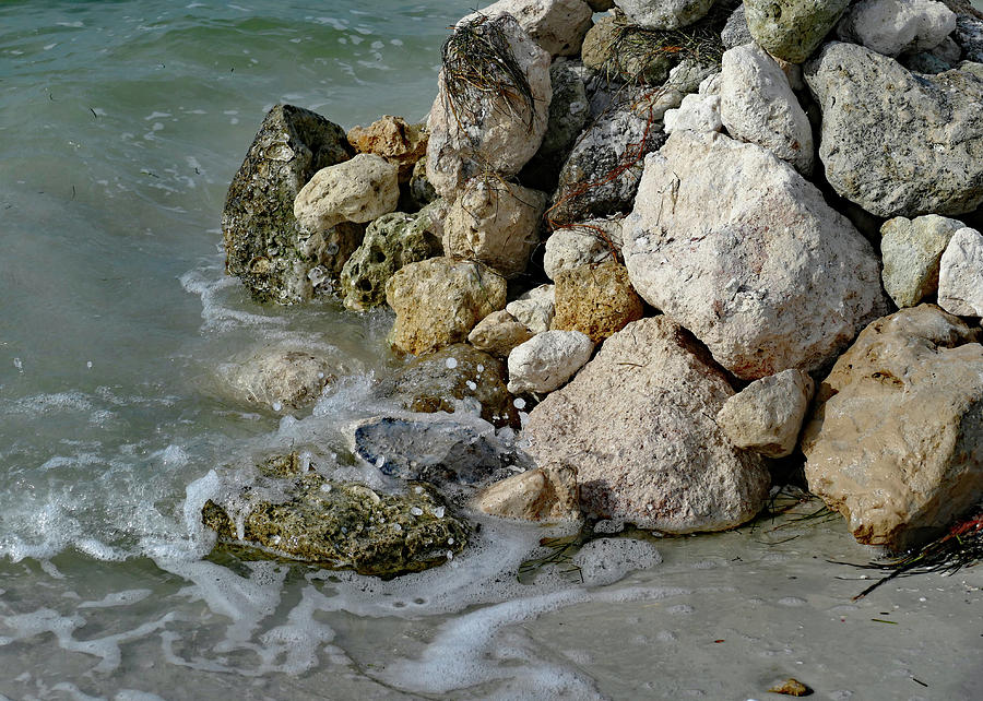Shore rocks, Florida Photograph by Margaret Zabor