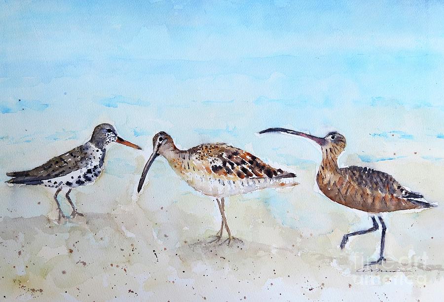 Shorebirds Painting by Claudia Hafner