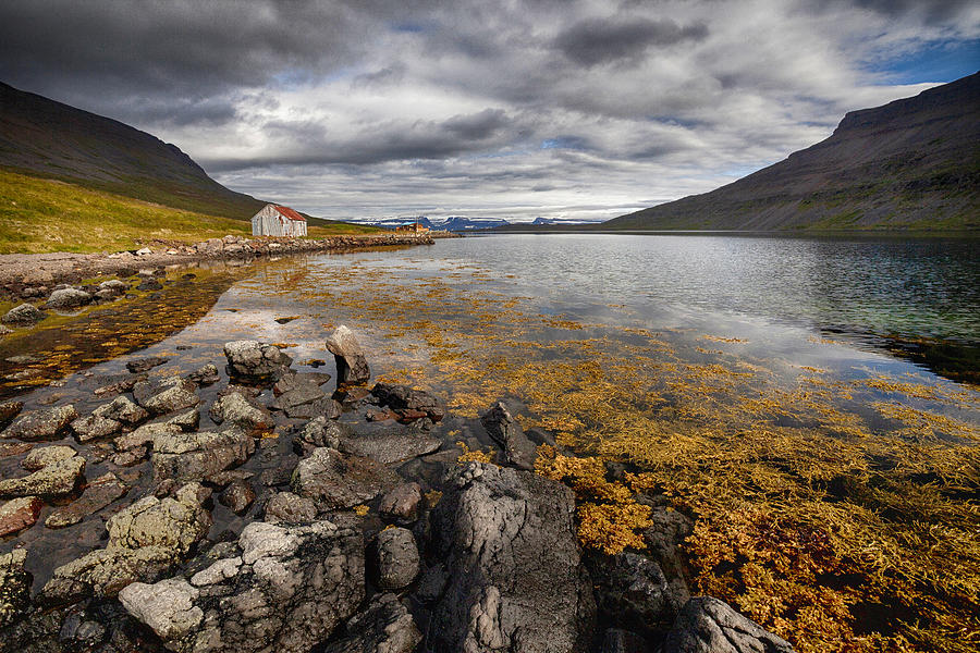 Shoreline In The Fjord Photograph by orsteinn H. Ingibergsson