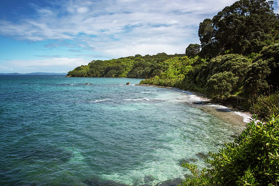 Shoreline of Tiritiri Matangi New Zealand Photograph by Joan Carroll