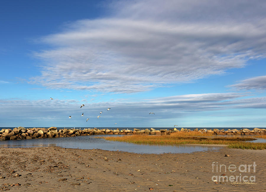 Shoreside Serenity Cape Cod Photograph by Michelle Constantine