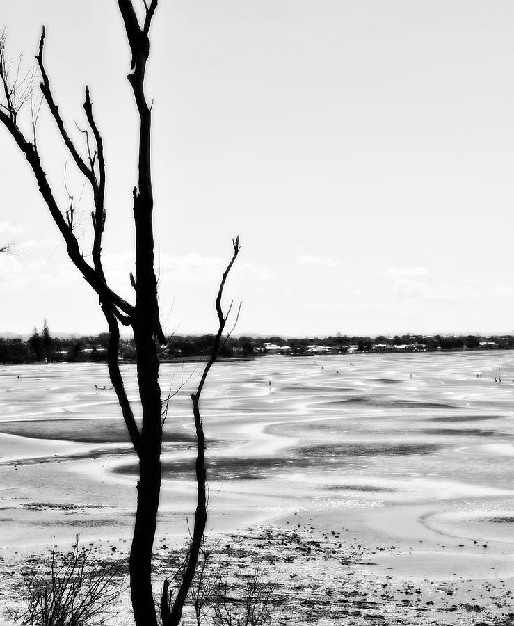 Shorncliffe Photograph by Danielle French - Fine Art America