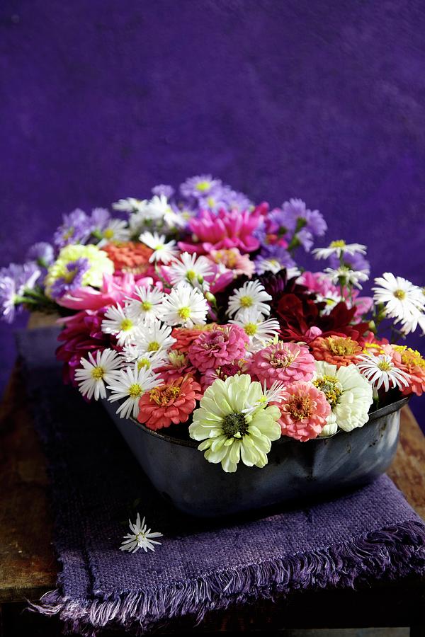 Short-stemmed, Late Summer Garden Flowers Arranged In Enamel Dish On Folded, Fringed Violet Linen Cloth Photograph by Anke Schtz