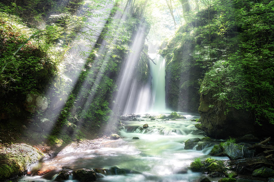 Shower Of The Ray Photograph by Daiki Suzuki