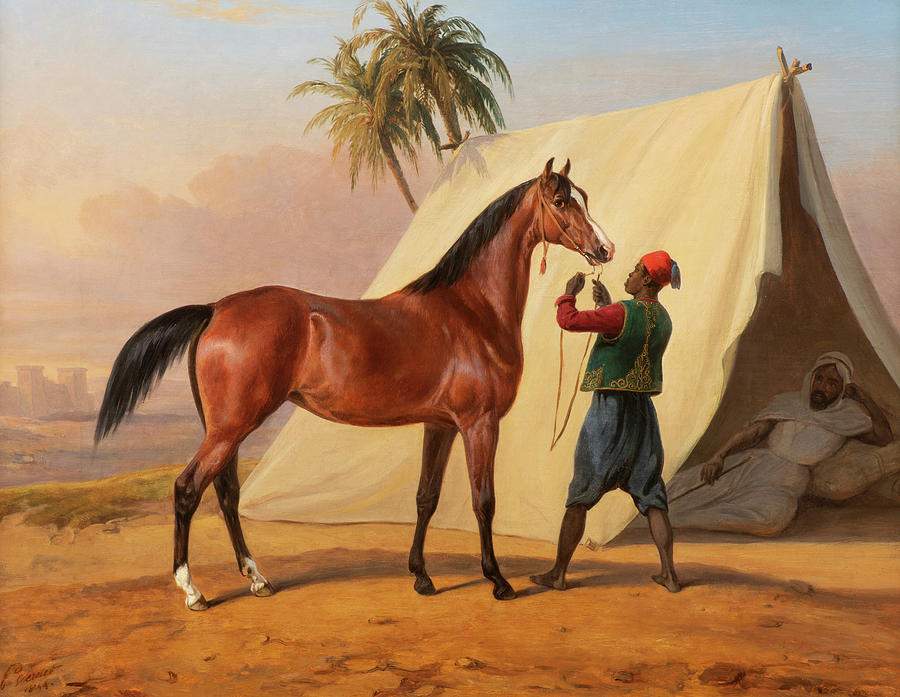 Camel Painting - Showing an Arabian Horse by Horace Vernet