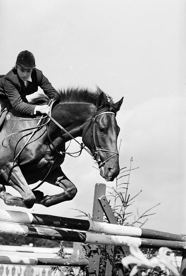 Showjumper Photograph by Mccabe