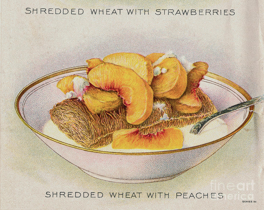 Horizontal Photograph - Shredded Wheat With Peaches by Bettmann