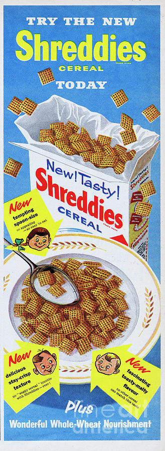 Shreddies Photograph by Picture Post