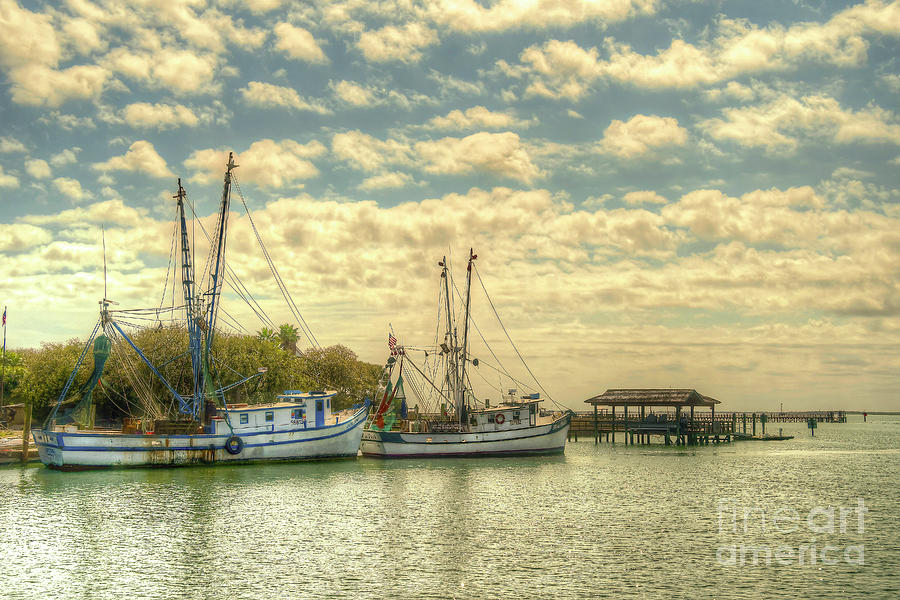 Shrimp Boats In Mt. Pleasant Photograph by Kathy Baccari