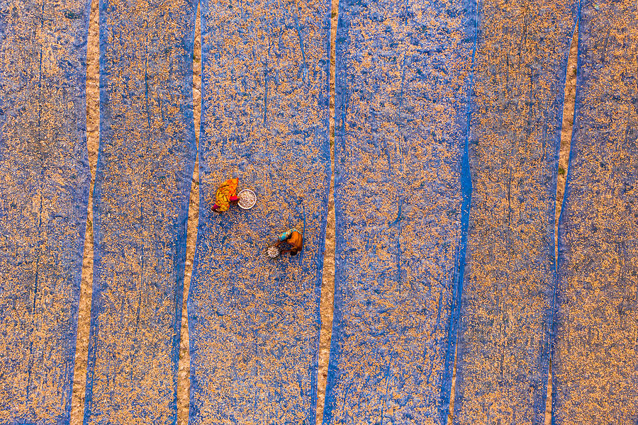 Shrimp Dry In Sun Photograph by Mostafijur Rahman Nasim