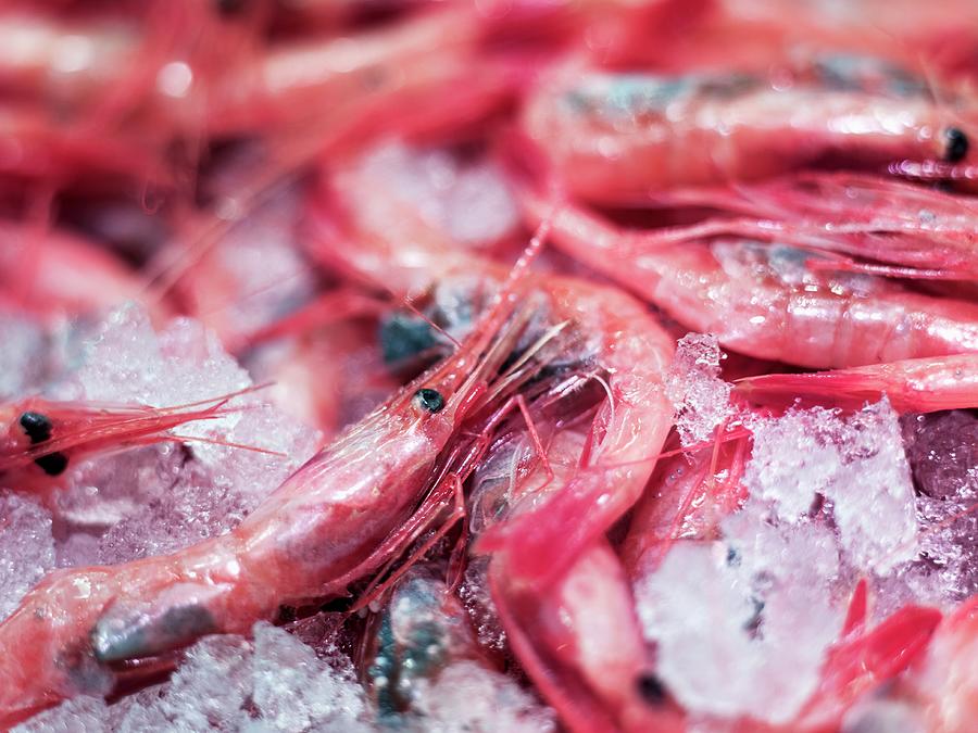 Shrimp On Ice Photograph by Michael Van Emde Boas