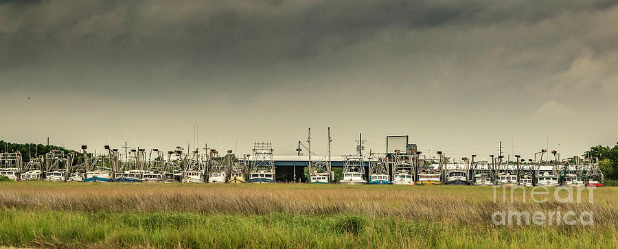 Louisiana Shrimp Boats Awaiting Seasons Start Photograph