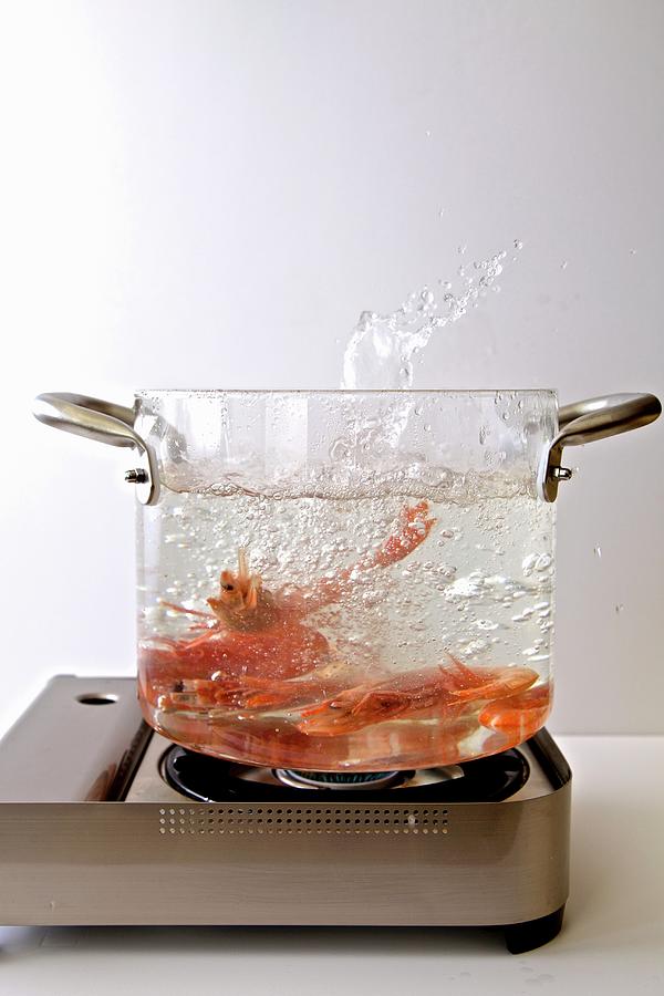 Shrimps Being Boiled In A Glass Pot Photograph by Andre Baranowski