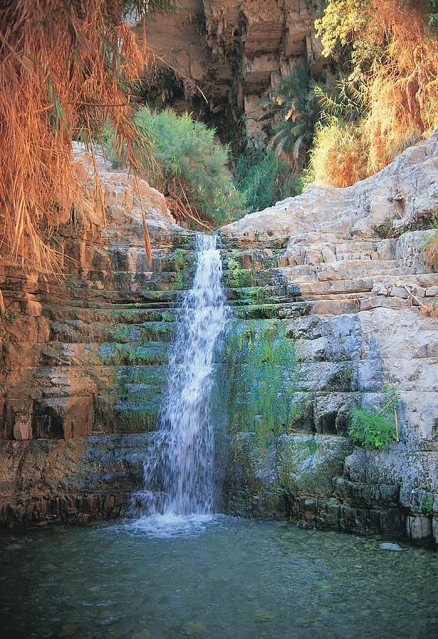 Shulamit Fall At En Gedi Reserve, Israel Photograph by Barry Winiker