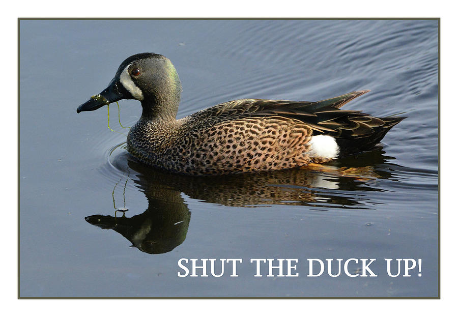 Shut the Duck Up Photograph by Jerry Griffin
