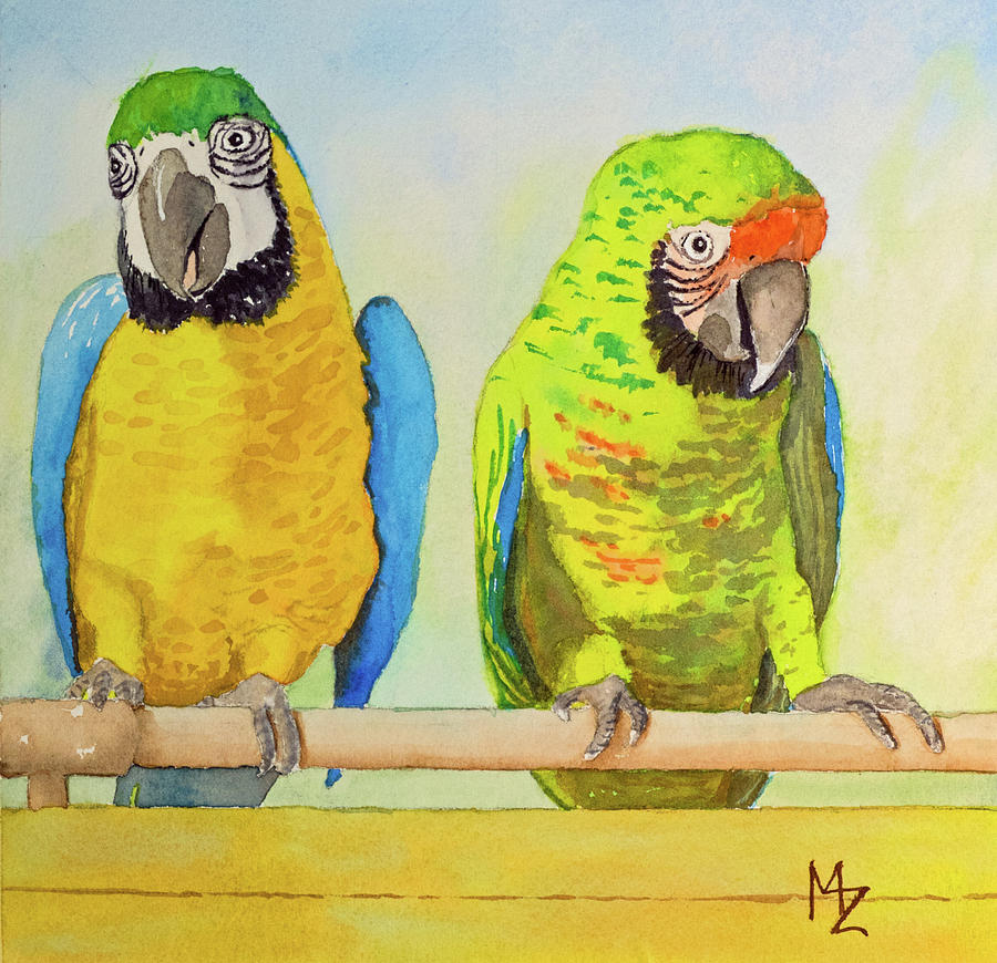 Shy Macaws Painting by Margaret Zabor