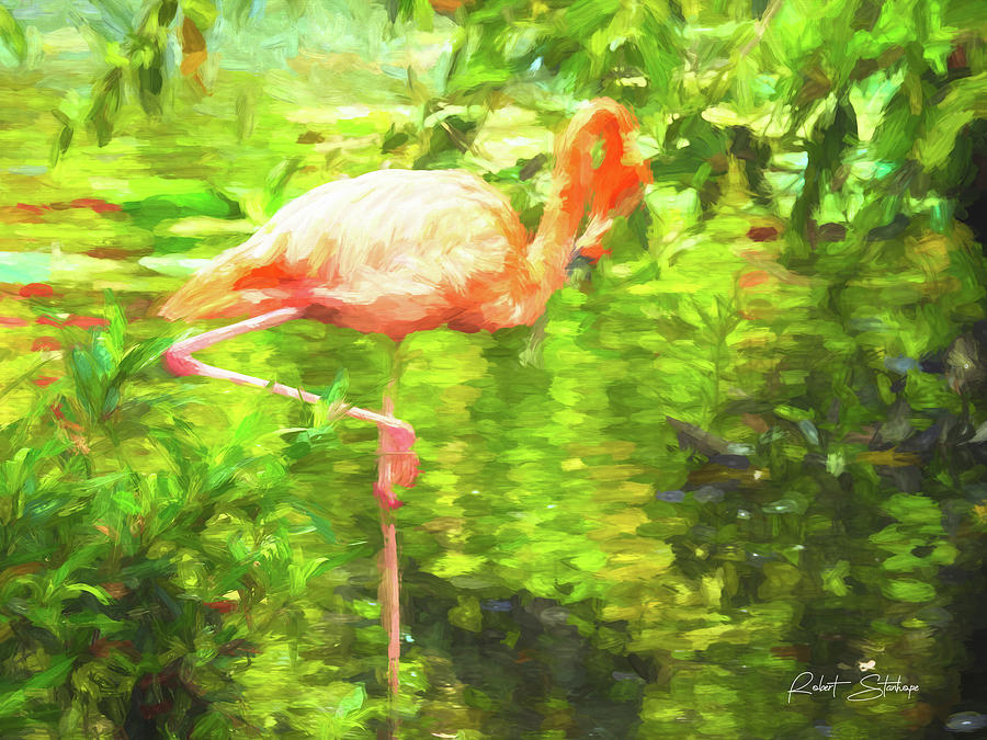 Shy by Robert Stanhope Shy by Robert Stanhope