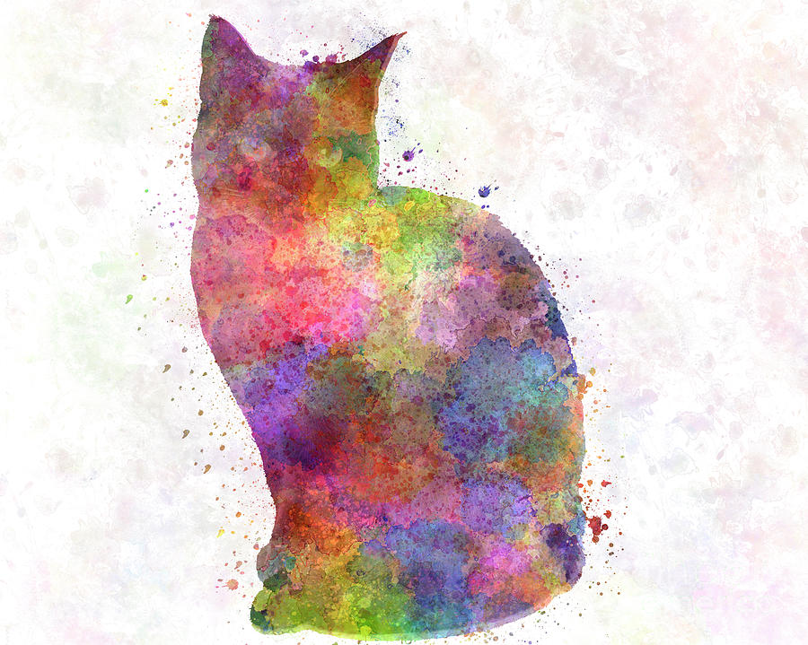 Siamese cat in watercolor by Pablo Romero Siamese cat in watercolor by Pablo Romero