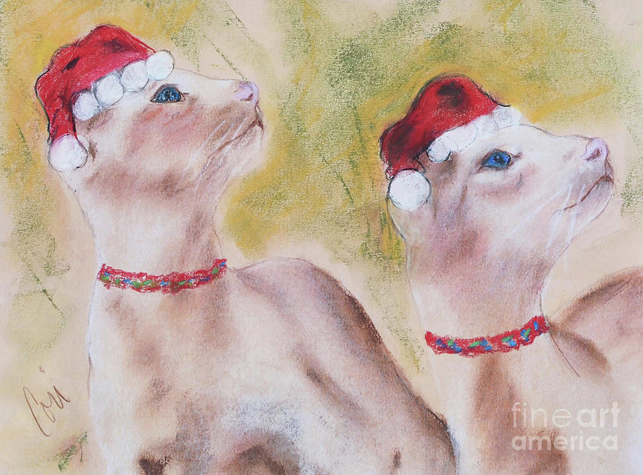 Siamese Christmas Pastel by Cori Solomon