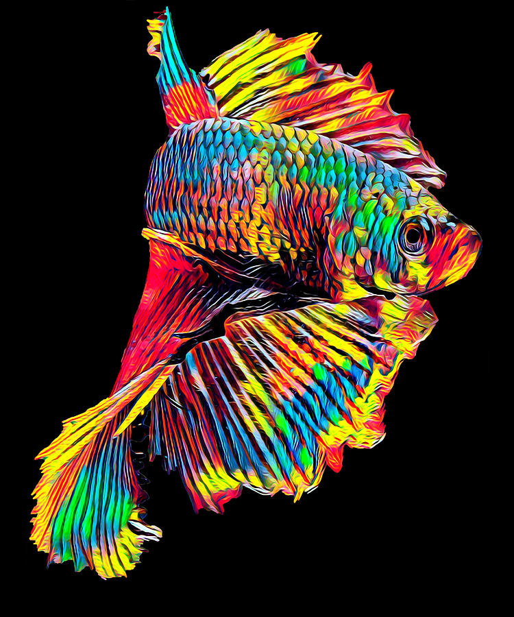 4x6 Wall Art Print Sea Creature Ocean Pet Fish Double Sided Print Original Art Fish Art Colourful Beta Fish Art Print