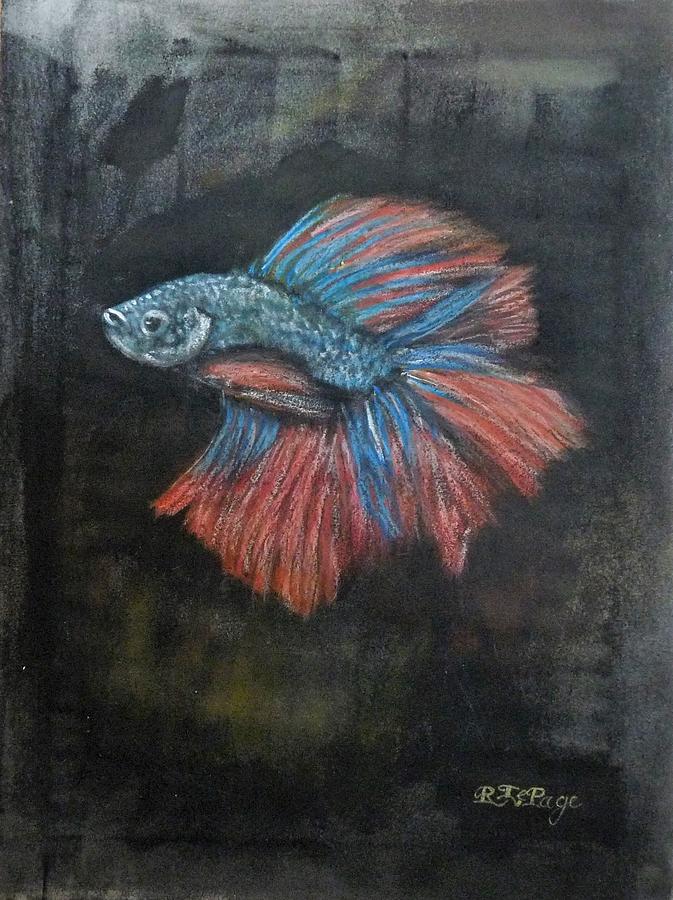 Siamese Fish 3 Pastel by Richard Le Page