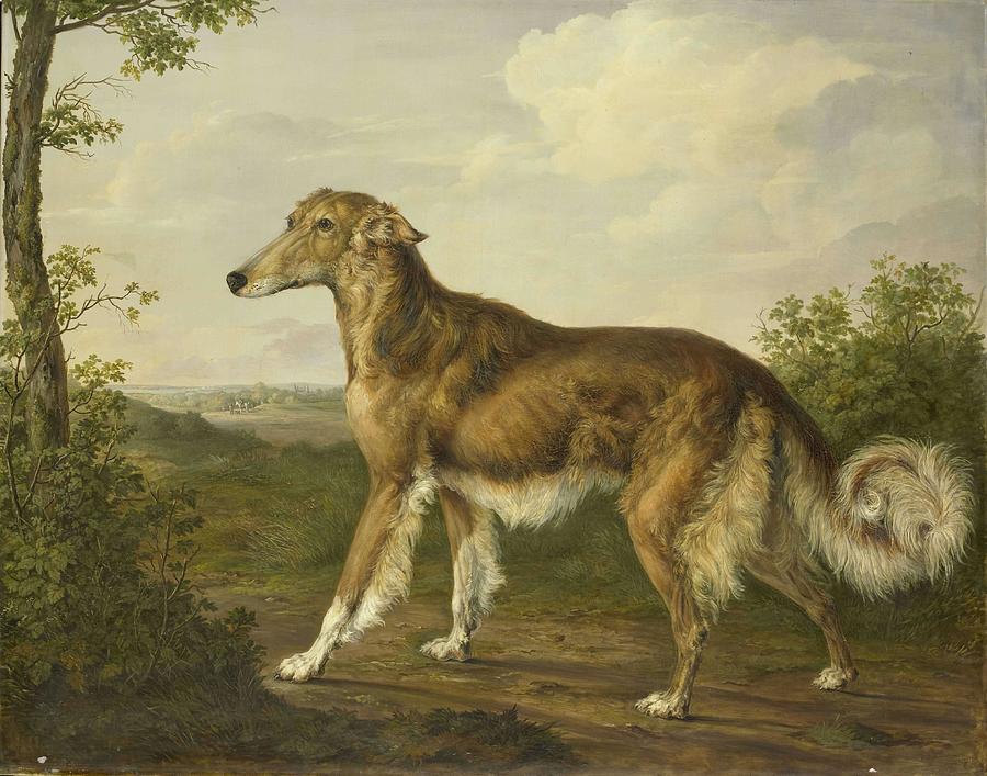 Siberian Greyhound. Painting by Jan Dasveldt -1770-1855- Siberian Greyhound. Painting by Jan Dasveldt -1770-1855-