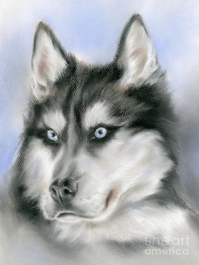 Siberian Husky Dog Portrait Painting by MM Anderson
