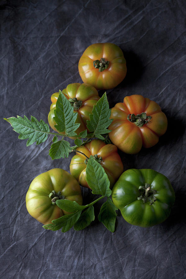 Sicilian Tomatoes With Leaves, Close Up Photograph by Westend61