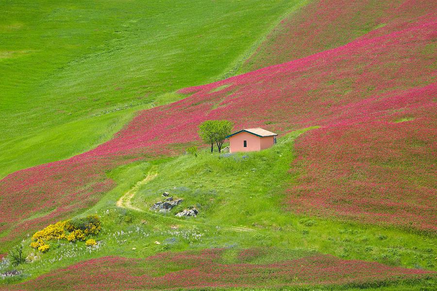 Nature Photograph - Sicily Spring Landscape With Flowers by Jan Wlodarczyk