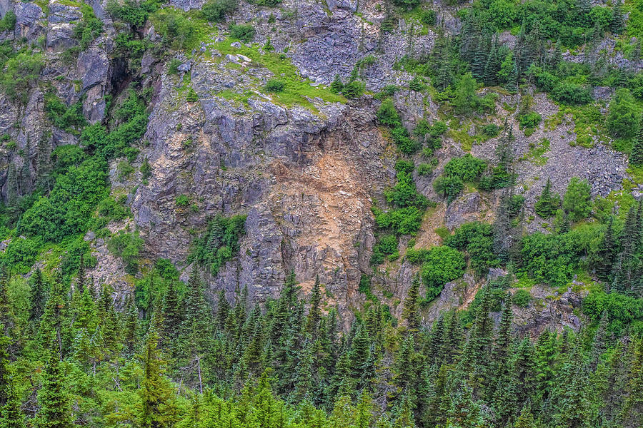 Side Of A Mountain Photograph