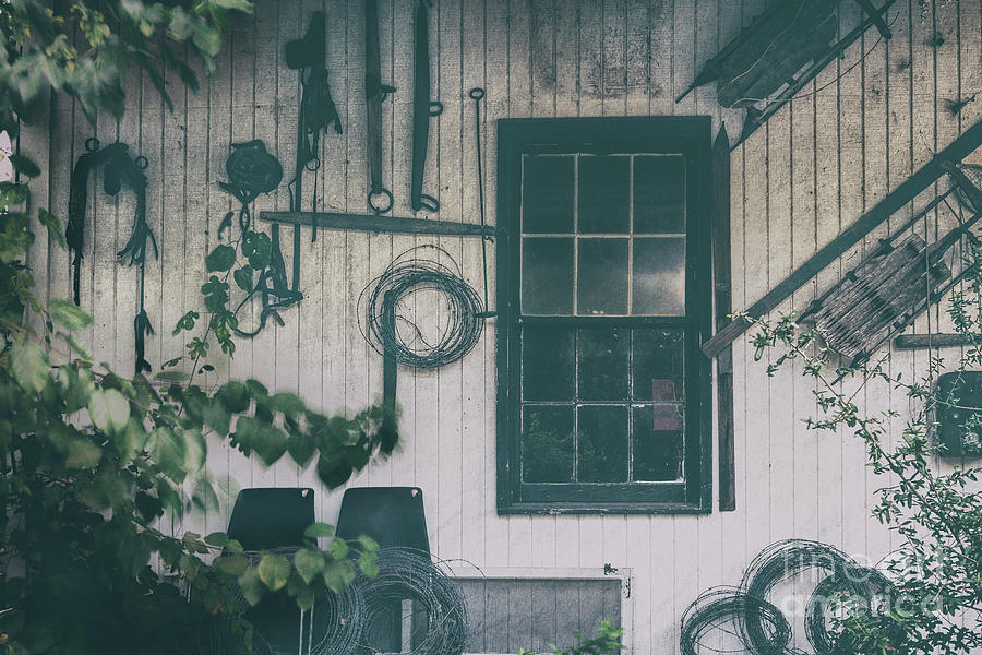 Side Porch Blues Photograph