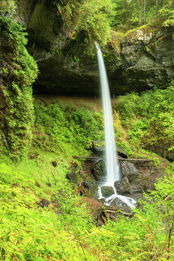 Side View - North Falls, Oregon Photograph by Aashish Vaidya